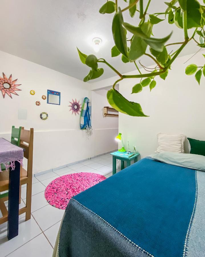 فيلا Tiny House Praia de Pipa المظهر الخارجي الصورة